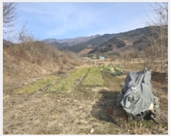  2025Ÿ��133  ����