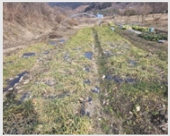  2025Ÿ��133  ����