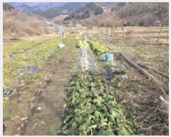  2025Ÿ��133  ����