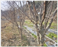  2025Ÿ��133  ����