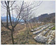  2025Ÿ��133  ����