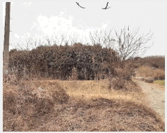  2025Ÿ335   Ȳ浿 405       ()