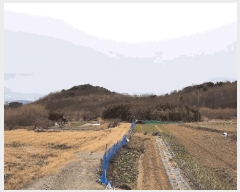  2025Ÿ335   Ȳ浿 405       ()