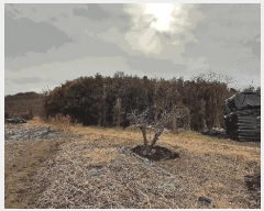  2025Ÿ335   Ȳ浿 405       ()