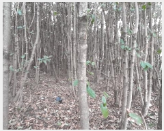  2025Ÿ335   Ȳ浿 405       ()