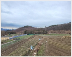  2025Ÿ335   Ȳ浿 405       ()