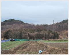  2025Ÿ335   Ȳ浿 405       ()