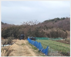  2025Ÿ335   Ȳ浿 405       ()