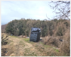  2025Ÿ335   Ȳ浿 405       ()