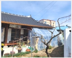  2025Ÿ��353 ���� ���ﱺ ������ ������ 103      ���ð��