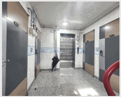  2025Ÿ��377 ���� ��õ�� ������ 197-7 3��304ȣ      �ټ���,������