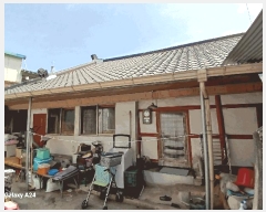  2025Ÿ��425 ���� ���ʱ� �굿�� ���̸� 239      ���ð��