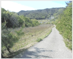  2025Ÿ��431 ���� ������ ��ġ�� ���긮 97-1      ����(��1)���