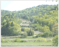  2025Ÿ��431 ���� ������ ��ġ�� ���긮 97-1      ����(��1)���