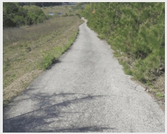  2025Ÿ��431 ���� ������ ��ġ�� ���긮 97-1      ����(��1)���