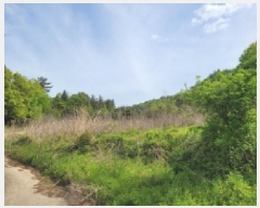  2025Ÿ��431 ���� ������ ��ġ�� ���긮 97-1      ����(��1)���