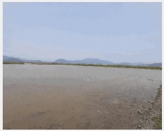  2025Ÿ455  ﱺ θ θ 3021-2      ()