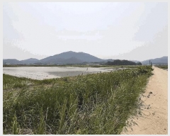  2025Ÿ455  ﱺ θ θ 3021-2      ()