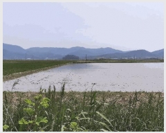  2025Ÿ455  ﱺ θ θ 3021-2      ()