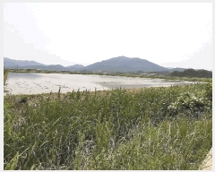  2025Ÿ455  ﱺ θ θ 3021-2      ()