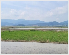  2025Ÿ455  ﱺ θ θ 3021-2      ()