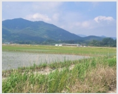  2025Ÿ455  ﱺ θ θ 3021-2      ()