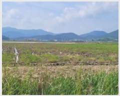  2025Ÿ455  ﱺ θ θ 3021-2      ()