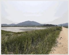  2025Ÿ455  ﱺ θ θ 3021-2      ()