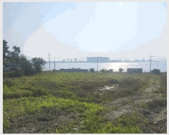  2025Ÿ��461  ����