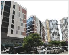  2025Ÿ��491  ���ǽ��ڰ��