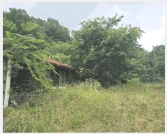  2025Ÿ��503 ���� ����� ����� ��� 195-4      ����(��1)���