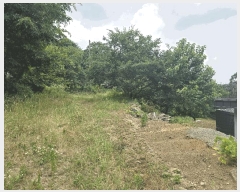  2025Ÿ��503 ���� ����� ����� ��� 195-4      ����(��1)���