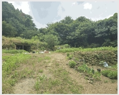  2025Ÿ��503 ���� ����� ����� ��� 195-4      ����(��1)���