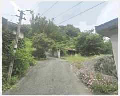  2025Ÿ��503 ���� ����� ����� ��� 195-4      ����(��1)���