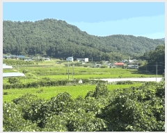  2025Ÿ��557  ����