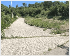  2025Ÿ��557  ����