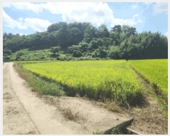  2025Ÿ��611  ����