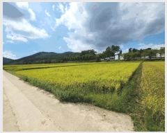  2025Ÿ��611  ����