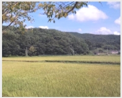  2025Ÿ��611  ����