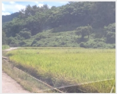  2025Ÿ��611  ����