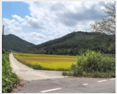  2025Ÿ��611  ����