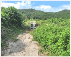  2025Ÿ��623  �������