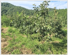  2025Ÿ��623  �������