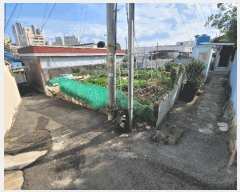  2025Ÿ��623  �������