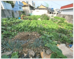  2025Ÿ��623  �������