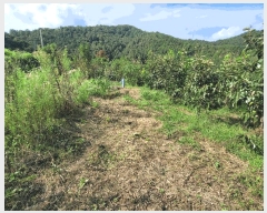  2025Ÿ��623  �������