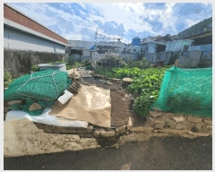  2025Ÿ��623  �������