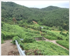  2025Ÿ��623  �������