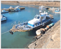  2025Ÿ��694  ���ڰ��