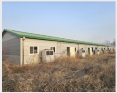  2025Ÿ50077  ʱ  õ 271-10      ,â